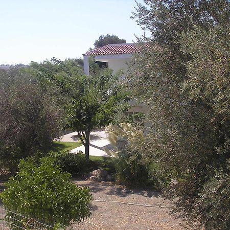 Nephele Apartments Faliraki Dış mekan fotoğraf