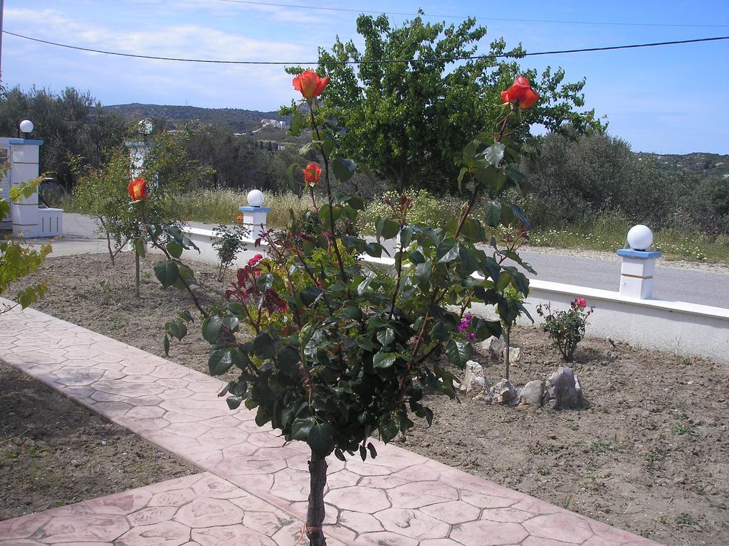 Nephele Apartments Faliraki Dış mekan fotoğraf