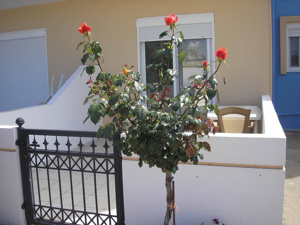 Nephele Apartments Faliraki Dış mekan fotoğraf