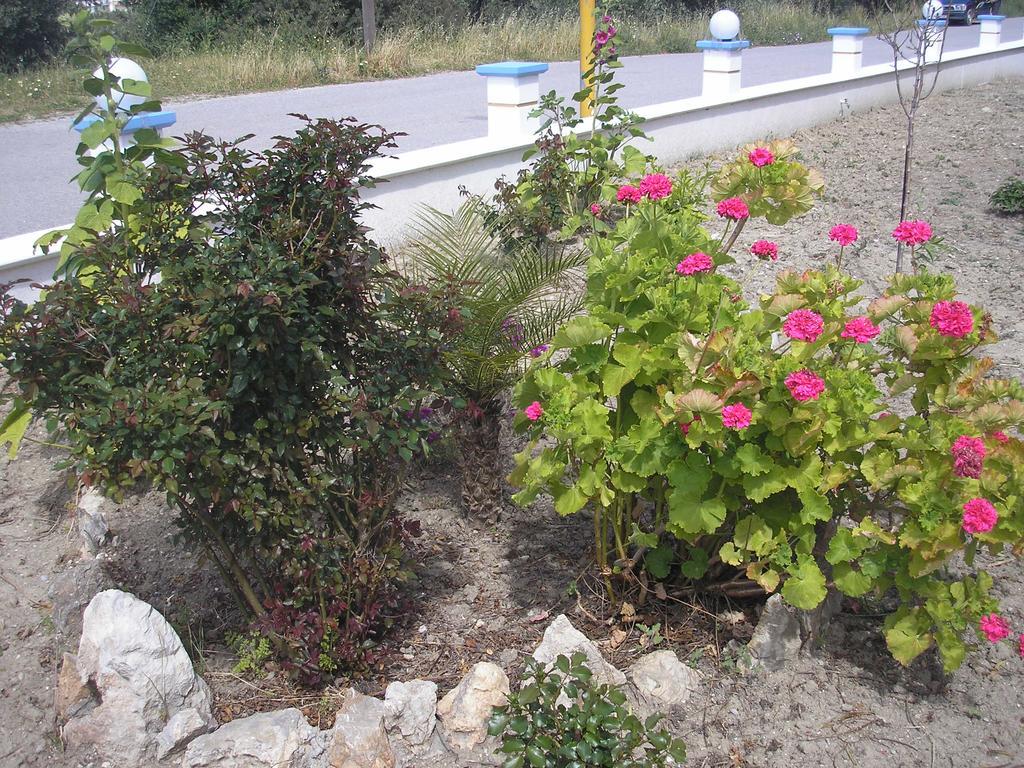 Nephele Apartments Faliraki Dış mekan fotoğraf