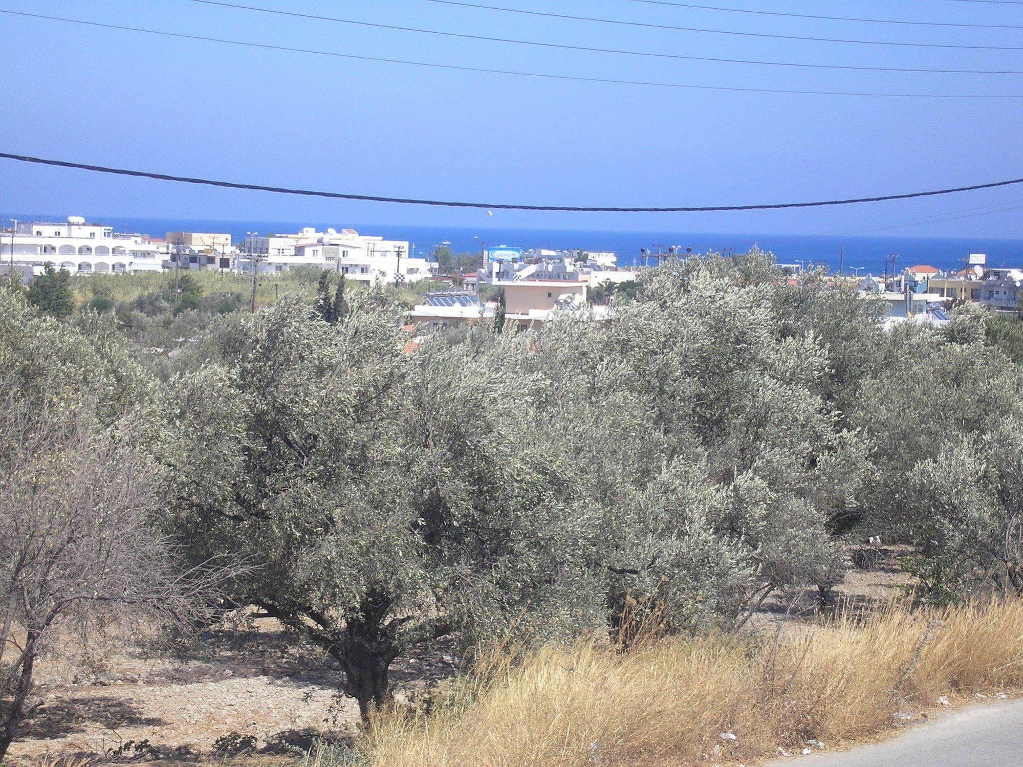 Nephele Apartments Faliraki Dış mekan fotoğraf