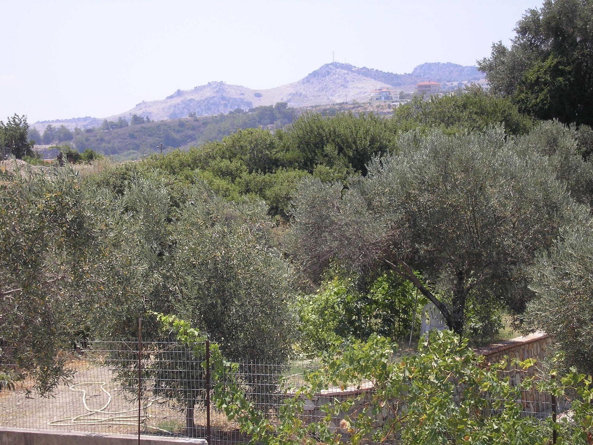 Nephele Apartments Faliraki Dış mekan fotoğraf